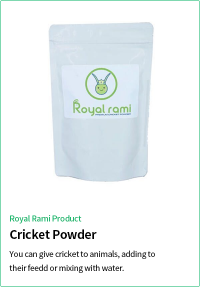 product_thumbnail_en_1